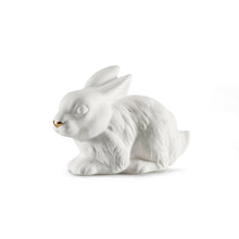Load image into Gallery viewer, Avery Rabbit