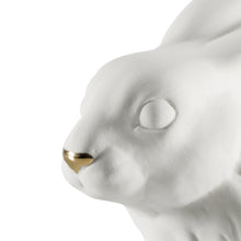 Load image into Gallery viewer, Rabbit
