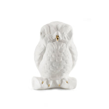 Load image into Gallery viewer, Little Owl