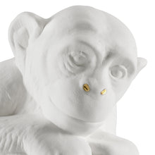 Load image into Gallery viewer, Gorilla